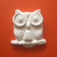 Owl -Title Owl